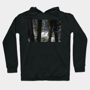 snowy Oregon forest 6 Hoodie